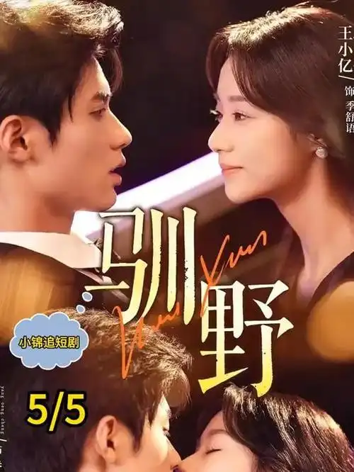 父母爱情电视剧封面
